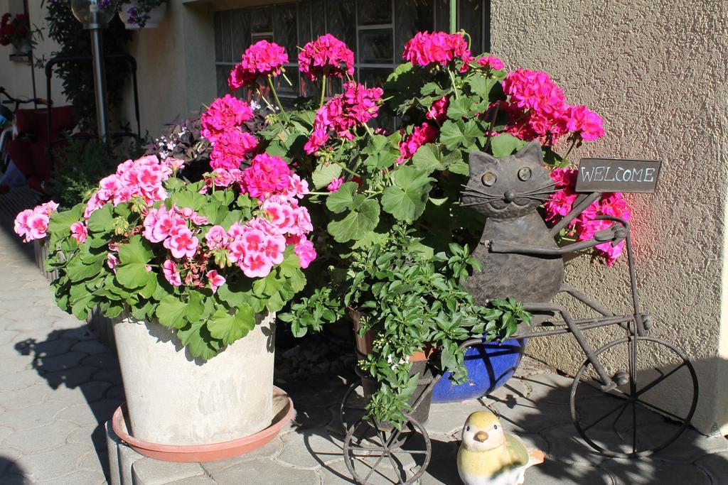 Appartement - Ferienwohnungen - Gaestehaus Gabriele Drobollach am Faakersee Luaran gambar