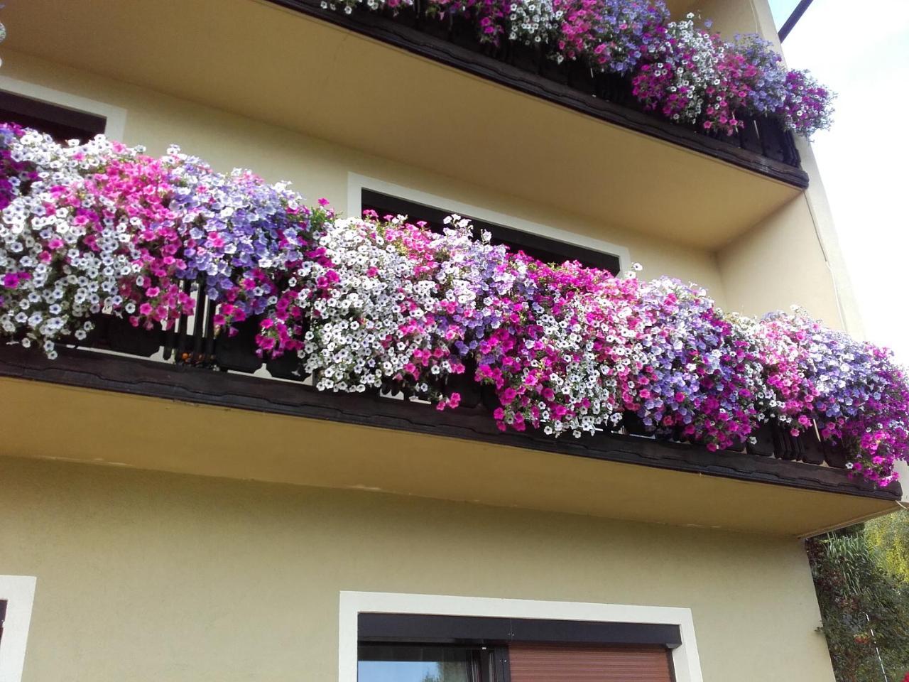 Appartement - Ferienwohnungen - Gaestehaus Gabriele Drobollach am Faakersee Luaran gambar