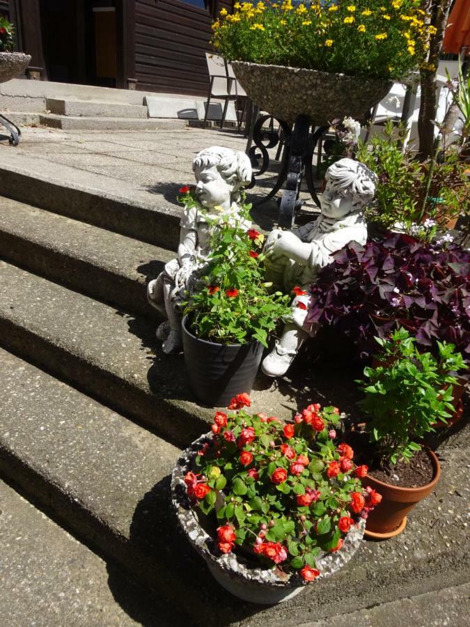 Appartement - Ferienwohnungen - Gaestehaus Gabriele Drobollach am Faakersee Luaran gambar