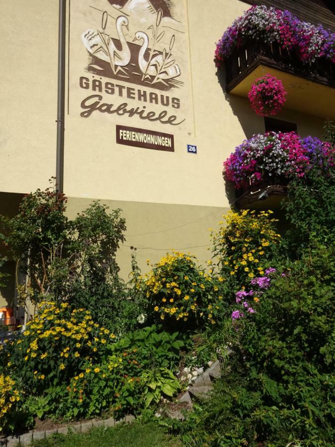 Appartement - Ferienwohnungen - Gaestehaus Gabriele Drobollach am Faakersee Luaran gambar