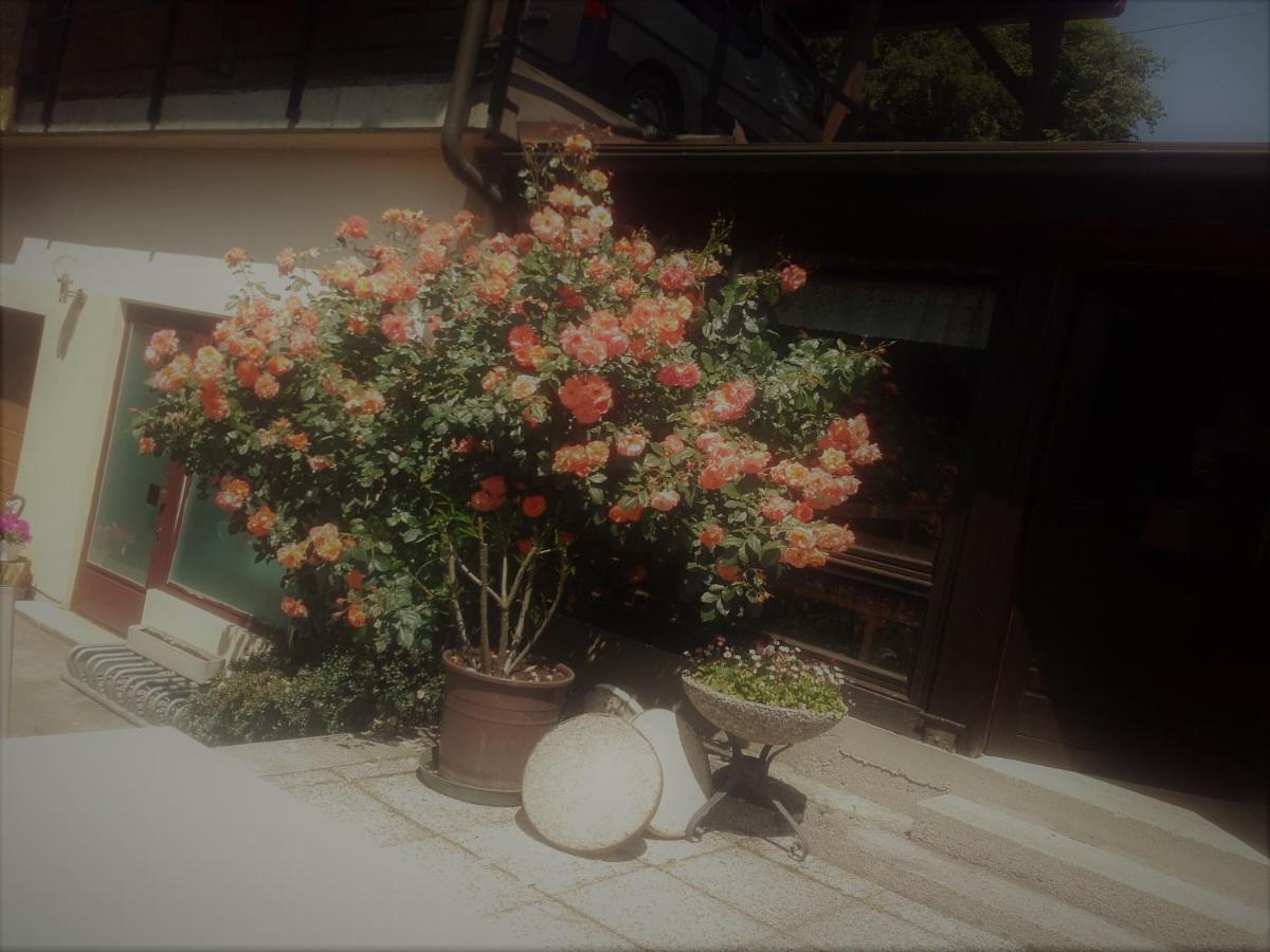 Appartement - Ferienwohnungen - Gaestehaus Gabriele Drobollach am Faakersee Luaran gambar